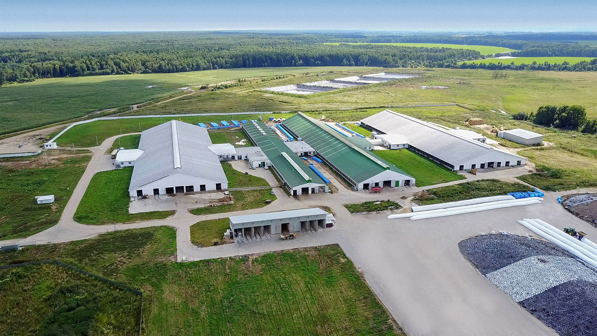 kaluga-1.jpg