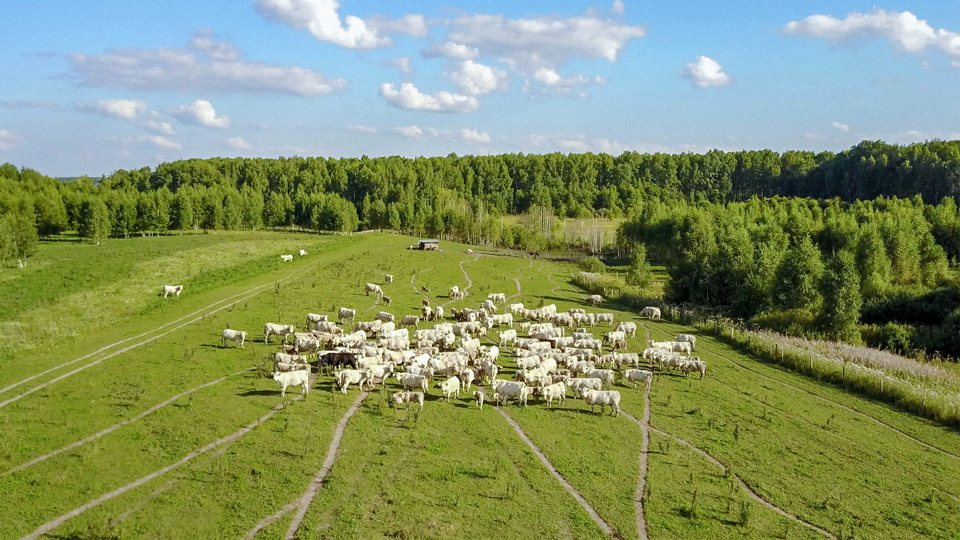 kaluga-6.jpg