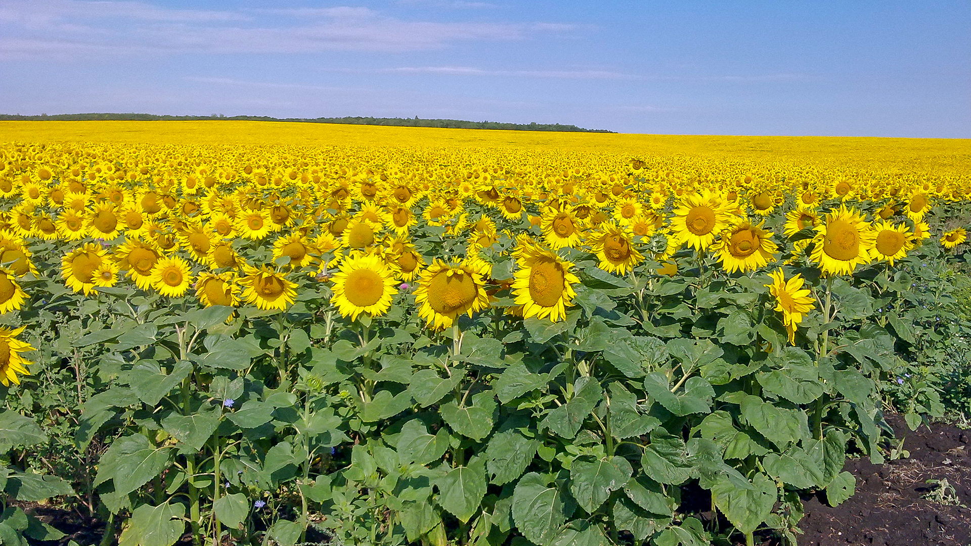orenburg-2.jpg