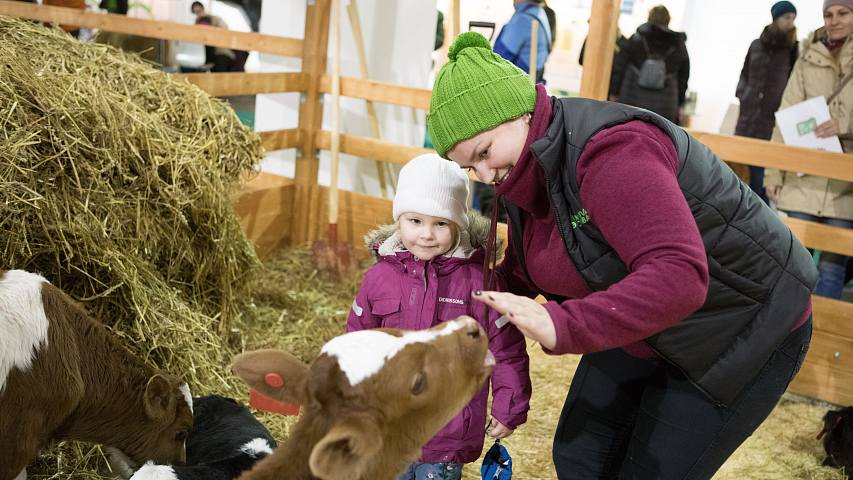 EkoNiva Markenlaunch, 24. November 2018