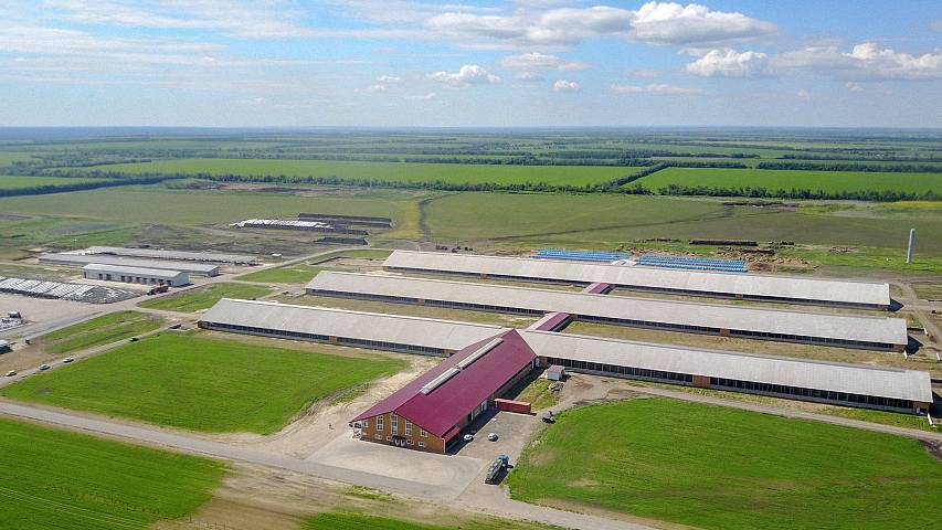 ekosem-agrar-milchviehanlage-woronesch.jpg